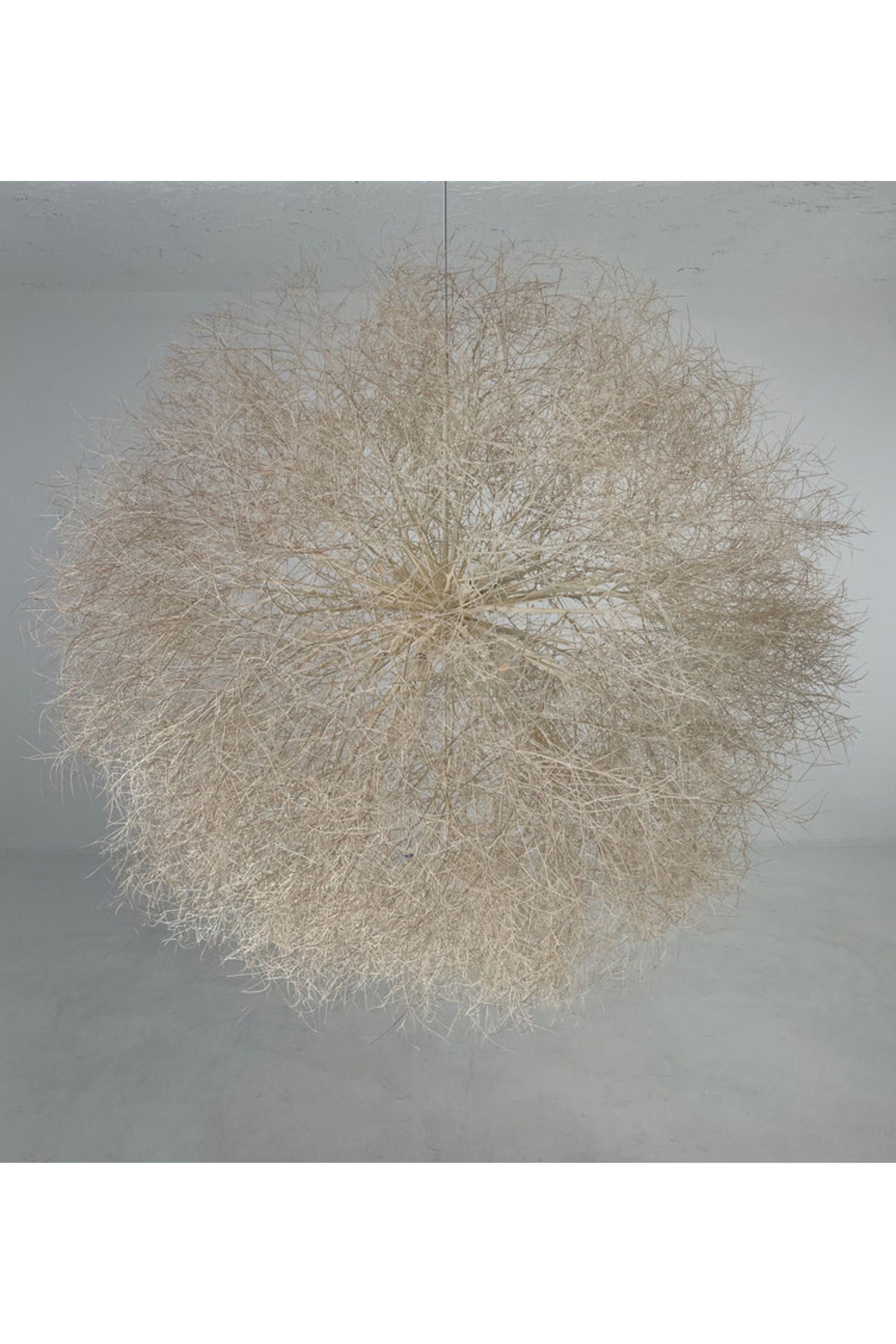 Tumbleweed Chandelier | 8 Bulbs