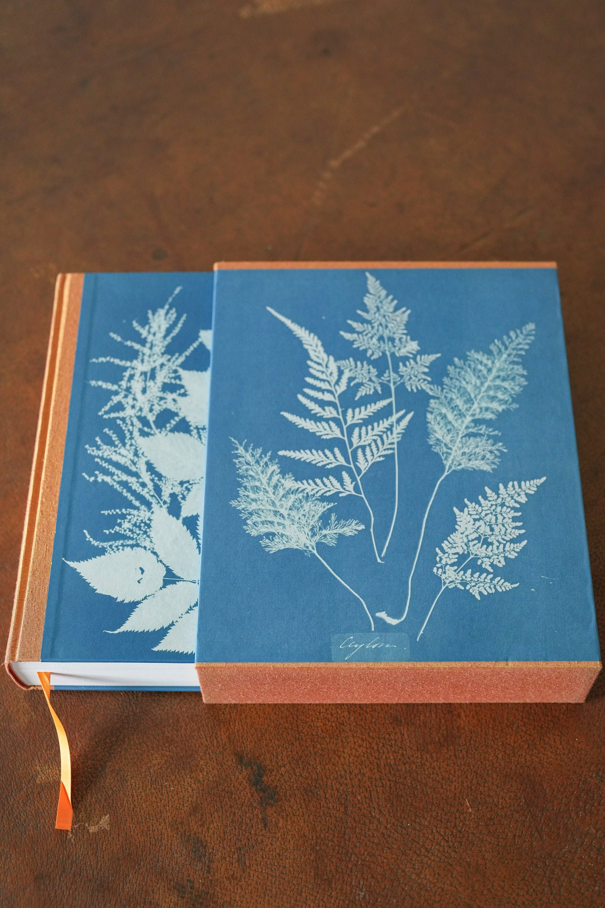 Anna Atkins. Cyanotypes