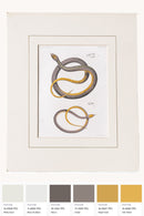 Vintage Snake Print Set of Two Western Style wall art at District Loom