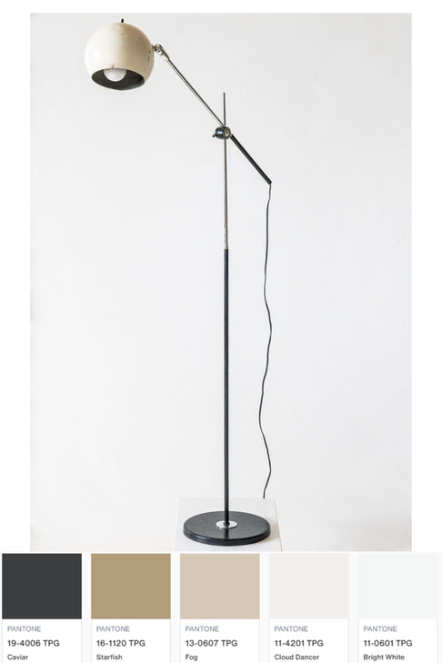 Vintage Midcentury Eyeball Floor Lamp