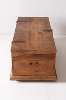 District Loom Furniture Antique Mexican trunk