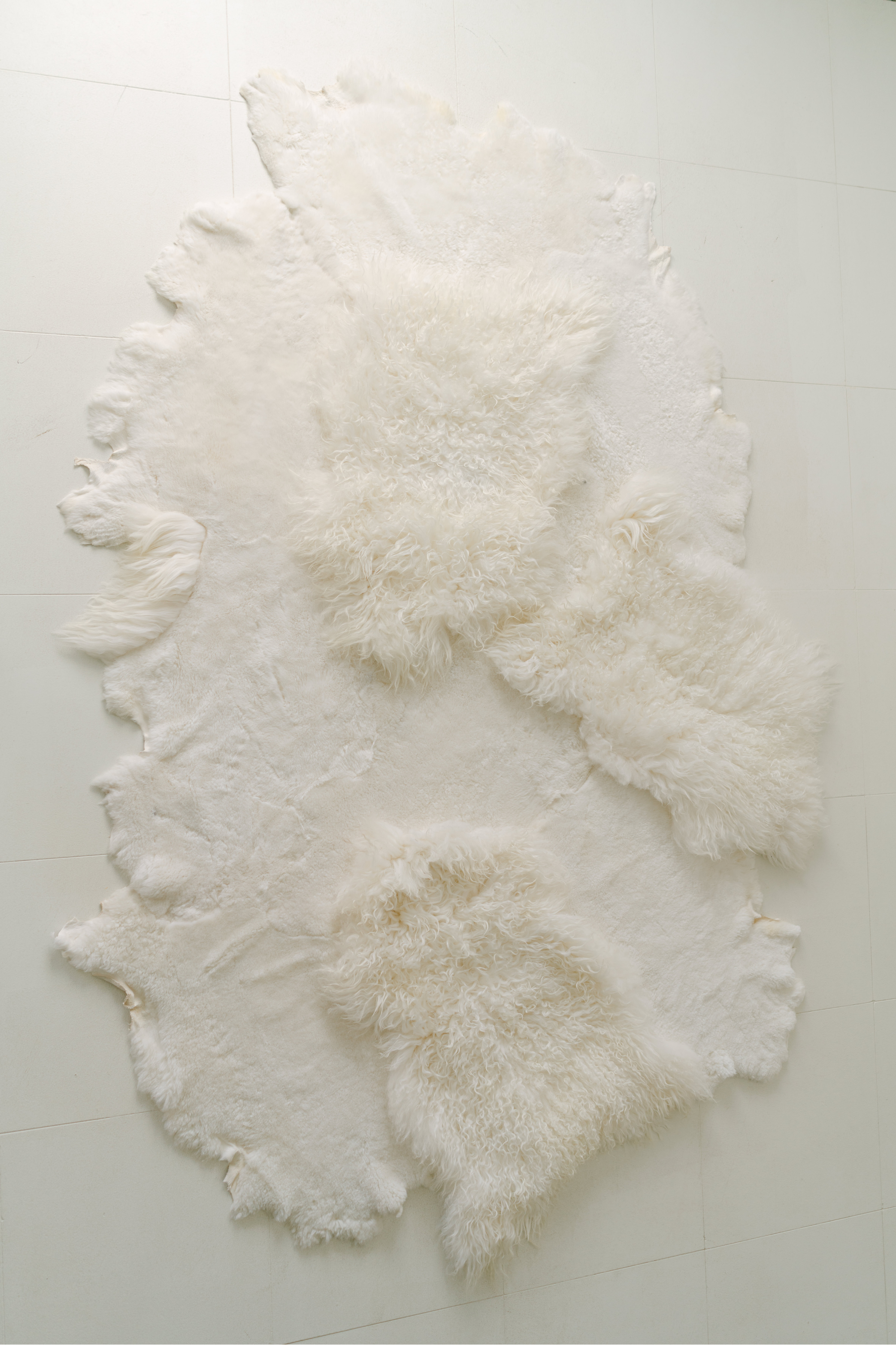 HOLD NVD Sheepskin patchwork | 5’ x 7’